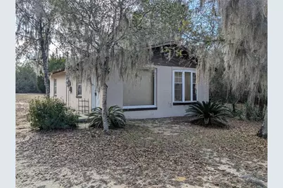 13668 NE 226th Avenue Road, Salt Springs, FL 32134 - Photo 4