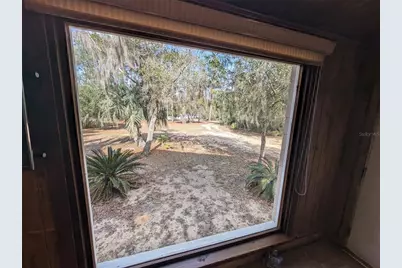 13668 NE 226th Avenue Road, Salt Springs, FL 32134 - Photo 14