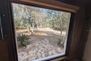 13668 NE 226th Avenue Rd, Salt Springs, FL 32134 - Photo 14