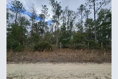 Tbd NE 45th Street, Williston, FL 32696 - Photo 2