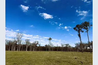 Dr #3 (10Ac) NW 193rd St, Micanopy, FL 32667 - Photo 10
