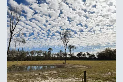 Dr #3 (10Ac) NW 193rd St, Micanopy, FL 32667 - Photo 8