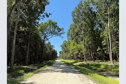 Dr #3 (10Ac) NW 193rd St, Micanopy, FL 32667 - Photo 2