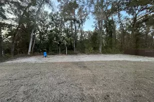 11 Sequoia Loop Pl, Ocklawaha, FL 32179 - Photo 16