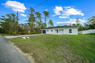 35 Sequoia Trail, Ocklawaha, FL 32179 - Photo 44