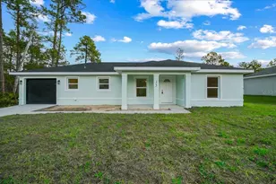 35 Sequoia Trail, Ocklawaha, FL 32179 - Photo 46