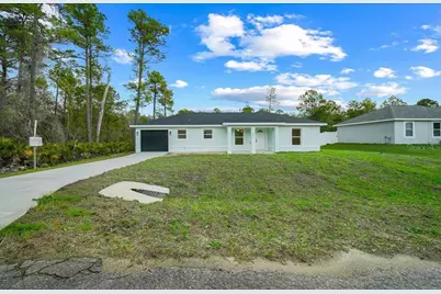 35 Sequoia Trail, Ocklawaha, FL 32179 - Photo 42