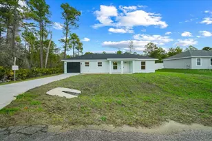 35 Sequoia Trail, Ocklawaha, FL 32179 - Photo 42