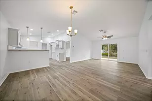 35 Sequoia Trail, Ocklawaha, FL 32179 - Photo 6