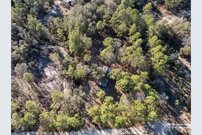 7970 NE 110th Avenue, Bronson, FL 32621 - Photo 20