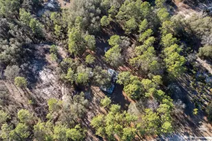 7970 NE 110th Ave, Bronson, FL 32621 - Photo 20