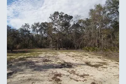 0000 NE 836th Street, Old Town, FL 32680 - Photo 20