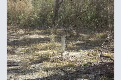 0000 NE 836th Street, Old Town, FL 32680 - Photo 32