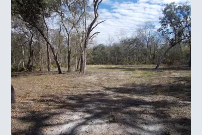 0000 NE 836th Street, Old Town, FL 32680 - Photo 12