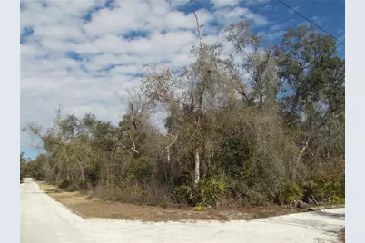0000 NE 836th Street, Old Town, FL 32680 - Photo 36
