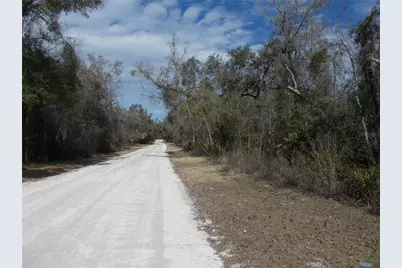 0000 NE 836th Street, Old Town, FL 32680 - Photo 4