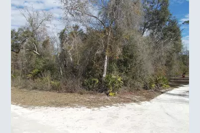 0000 NE 836th Street, Old Town, FL 32680 - Photo 38