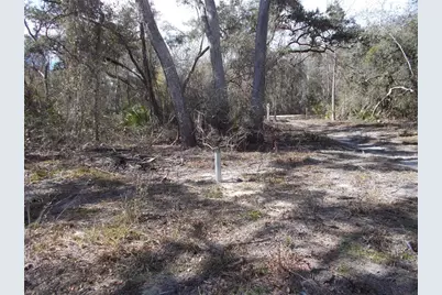 0000 NE 836th Street, Old Town, FL 32680 - Photo 26