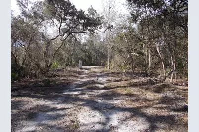 0000 NE 836th Street, Old Town, FL 32680 - Photo 28