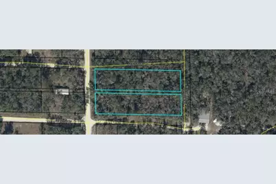 0000 NE 836th Street, Old Town, FL 32680 - Photo 46