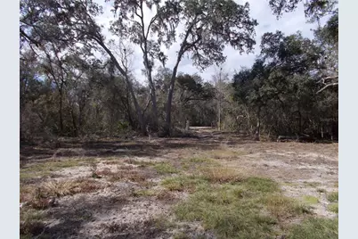 0000 NE 836th Street, Old Town, FL 32680 - Photo 24