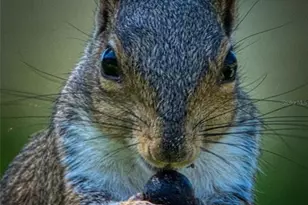 625 Midway Dr, Ocala, FL 34472 - Photo 32