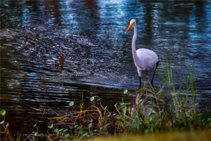 625 Midway Dr, Ocala, FL 34472 - Photo 30