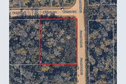 3977 Walnut Avenue, Bunnell, FL 32110 - Photo 2