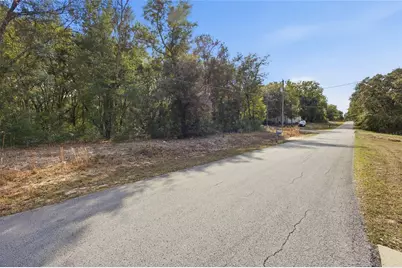 Lot 163 SW Shorewood Drive, Dunnellon, FL 34431 - Photo 4