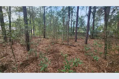 7954 N Golfview Drive, Citrus Springs, FL 34434 - Photo 10