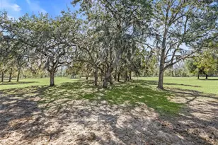 11330 E Levy St, Williston, FL 32696 - Photo 34