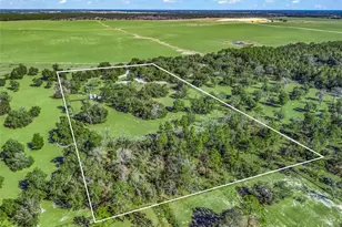 11330 E Levy St, Williston, FL 32696 - Photo 40