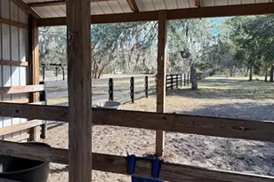 11330 E Levy St, Williston, FL 32696 - Photo 20