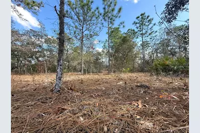 8951 N Citrus Springs Boulevard, Citrus Springs, FL 34433 - Photo 4