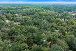 16789 SE 8th Pl, Silver Springs, FL 34488 - Photo 42