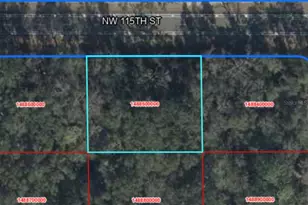 Tbd NW 94th Terrace, Chiefland, FL 32626 - Photo 1