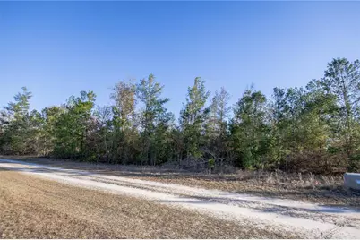 Se Rogers Sink Road, Madison, FL 32340 - Photo 6