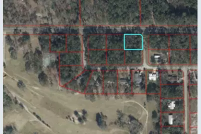 Tbd NW 115th Street, Chiefland, FL 32626 - Photo 2