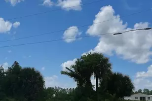 834 Jaguar Blvd, Lehigh Acres, FL 33974 - Photo 4