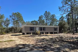 2671 SE 133rd Terrace, Morriston, FL 32668 - Photo 1