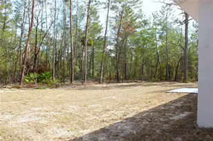 15 Fisher Way Pl, Ocklawaha, FL 32179 - Photo 14