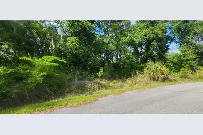 Tbd Oak Lane Way, Ocala, FL 34472 - Photo 6
