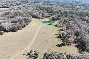 15551 NW Hwy 225, Reddick, FL 32686 - Photo 64