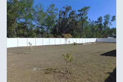 17477 SW 36th Terrace, Ocala, FL 34473 - Photo 40