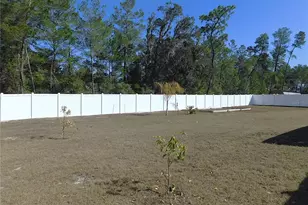 17477 SW 36th Terrace, Ocala, FL 34473 - Photo 40