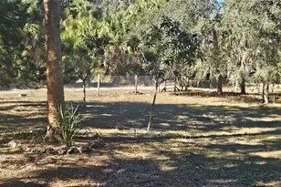 11159 N Clamdigger Terrace, Inglis, FL 34449 - Photo 28