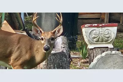 11159 N Clamdigger Terrace, Inglis, FL 34449 - Photo 36