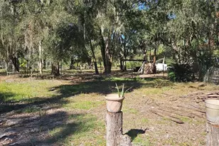 11159 N Clamdigger Terrace, Inglis, FL 34449 - Photo 46