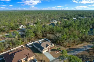 27 Vinca St, Homosassa, FL 34446 - Photo 14