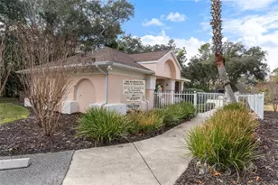15 W Byrsonima Loop, Homosassa, FL 34446 - Photo 36